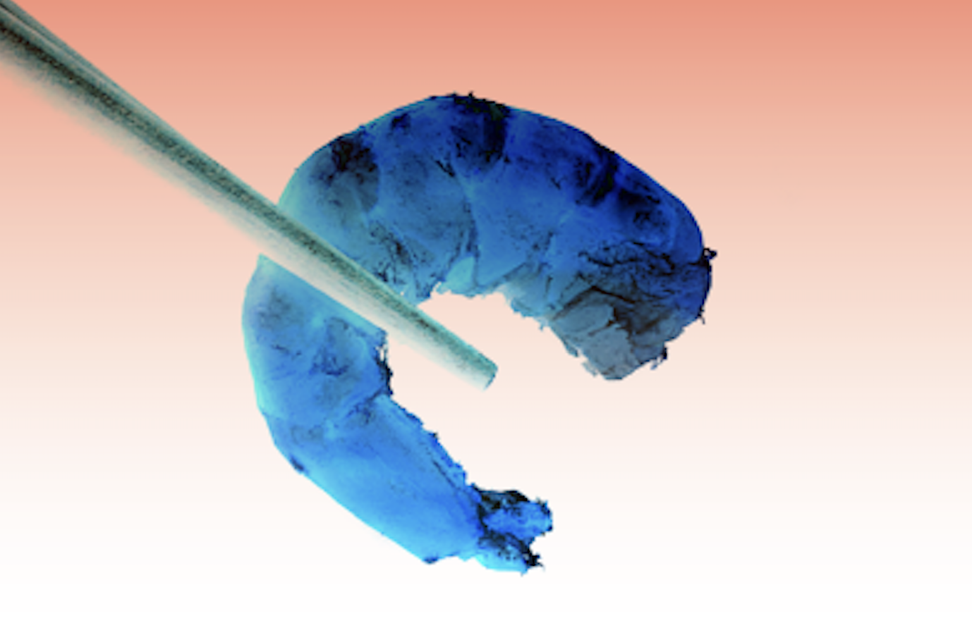 LAS EXPORTACIONES INDIAS DEL 3T AUMENTARON UN 6%. 2023 AÑO-TOTAL 2% POR DELANTE DE 2022 Y SÓLO 1% POR DETRÁS DE 2021